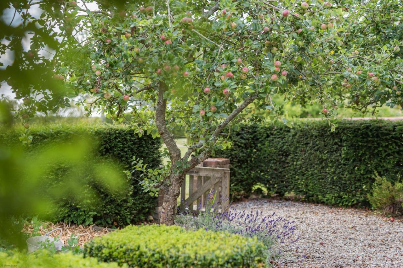 The Figgy By Bloom Stays Ashford  Extérieur photo